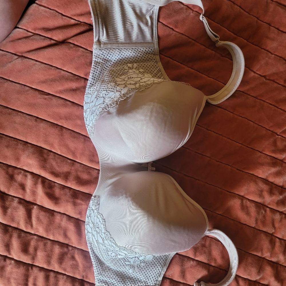 Cacique bra 36H